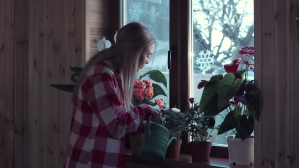 Jeune femme arrosant des fleurs avec pot — Video