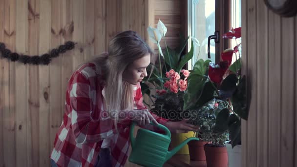 Молодая женщина поливает цветы в доме — стоковое видео