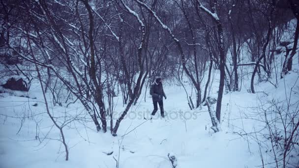 La ricerca dell'uomo nella foresta — Video Stock