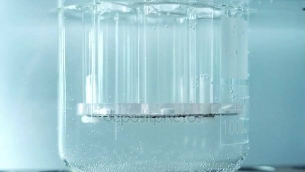 化学実験の実施 — ストック動画