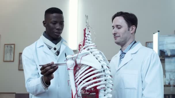 Les étudiants apprenant l'anatomie — Video