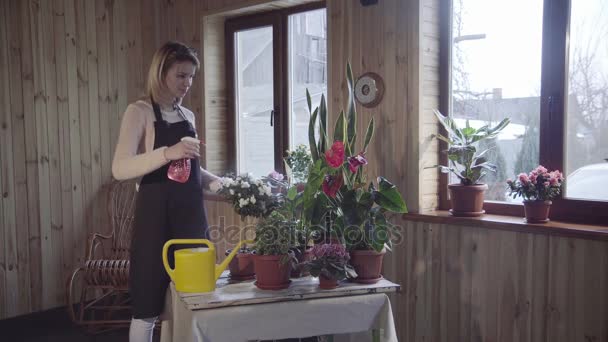 Frau sprüht Blumen auf Fenster — Stockvideo