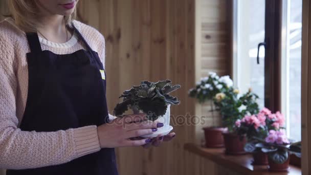 La fille avec une violette dans les bras — Video