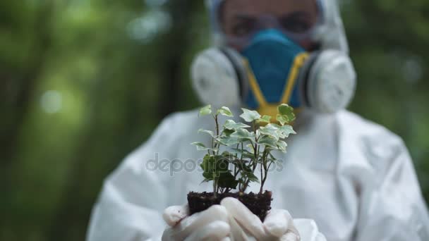 Amostra de planta de retenção ecologista anônimo — Vídeo de Stock