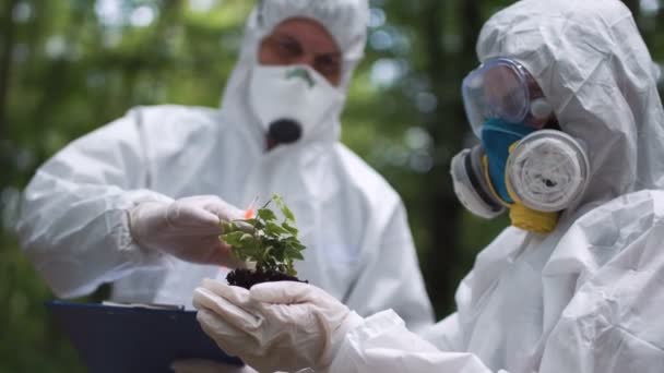 生態学者は、植物の分析を行う — ストック動画