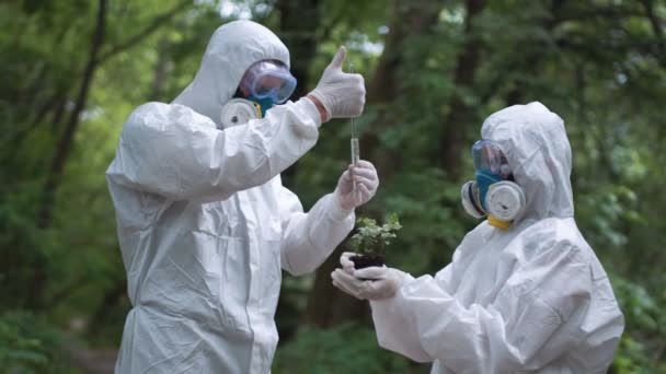 植物生态学家滴水 — 图库视频影像