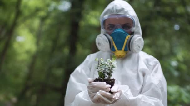 Ecologist holding plant — Stock Video