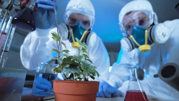 Pessoas pingando produtos químicos na planta — Vídeo de Stock