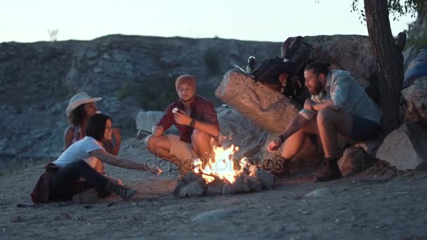 Ami joyeux se détendre autour du feu de camp — Video