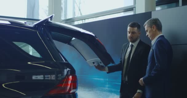 Agent showing trunk to man — Stock Video