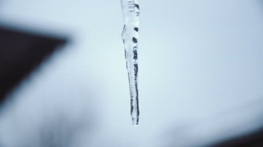 Uzun keskin Icicle çatı üzerinde asılı