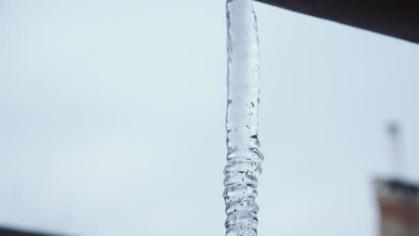 屋顶上的透明冰柱 — 图库视频影像