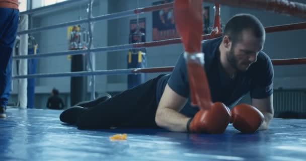 Boxer ontwaken uit neerhalen — Stockvideo