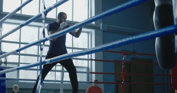 Sportlicher Mann trainiert Box am Ring — Stockvideo