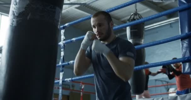 Boxeador de entrenamiento con bolsa en el gimnasio — Vídeos de Stock