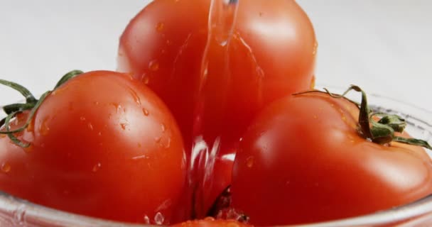 Close-up van het wassen van de tomaten in kom — Stockvideo