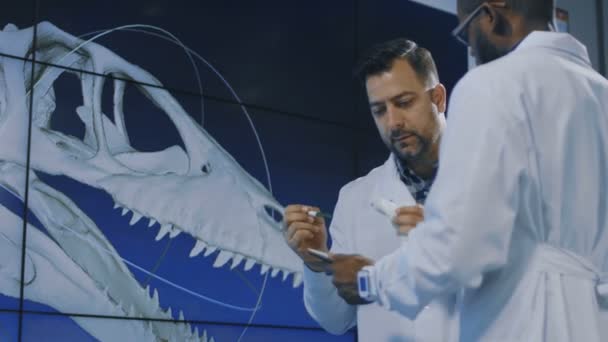 Paleontologists exploring 3-D printed dinosaur model — Stock Video