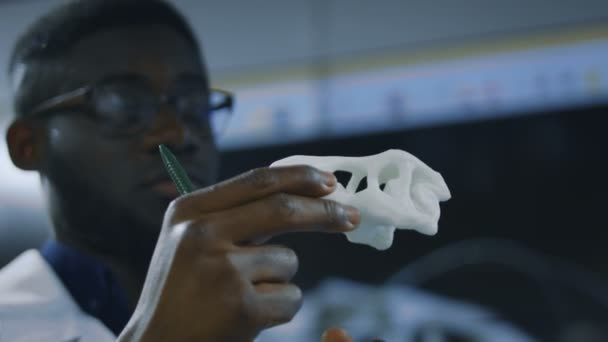 Paleontologist exploring 3-D printed dinosaur model — Stock Video