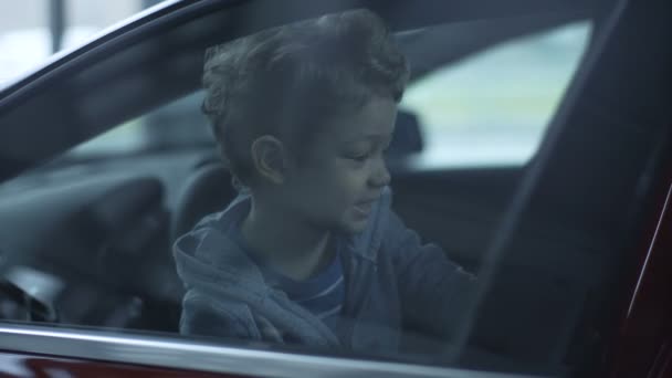 Encantador menino explorando carro novo — Vídeo de Stock