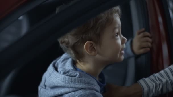 Charming boy exploring new car — Stock Video