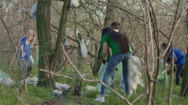 Vrijwilliger van de Gemeenschap op opruimen in bos — Stockvideo