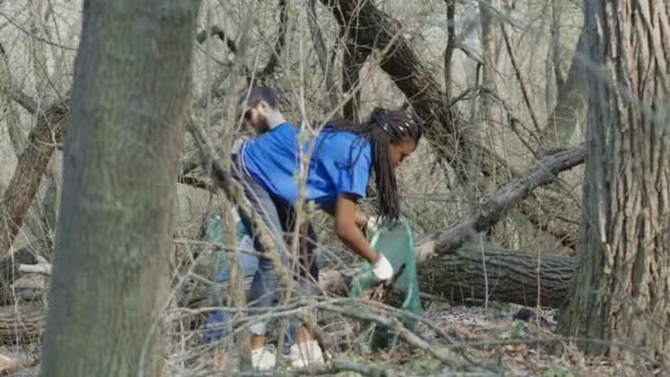 Voluntarios recogiendo basura en los bosques — Vídeos de Stock