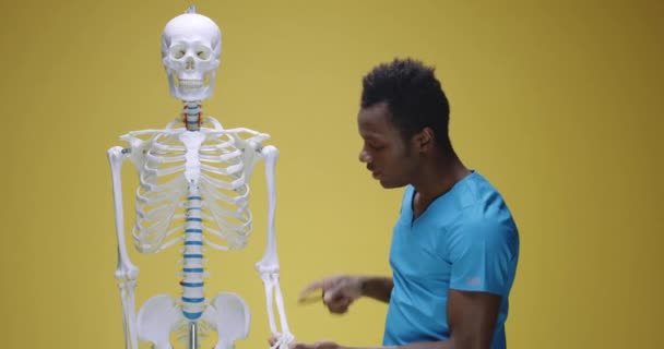Joven explicando anatomía humana — Vídeo de stock