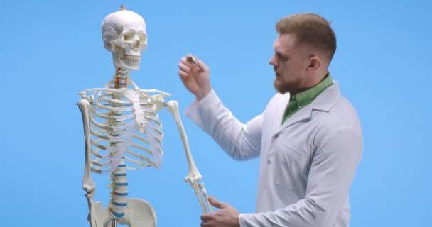 Doctor explicando anatomía con esqueleto — Vídeos de Stock