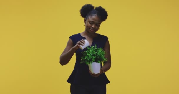 Mujer regando una planta en maceta — Vídeo de stock