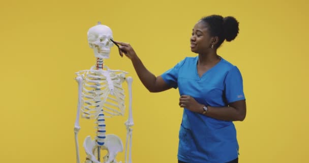 Médico explicando anatomia com esqueleto — Vídeo de Stock