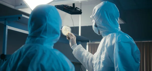 Scientists examining coronavirus sample in laboratory — Stock Photo, Image