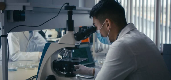 Cientista que estuda a amostra em microscópio — Fotografia de Stock