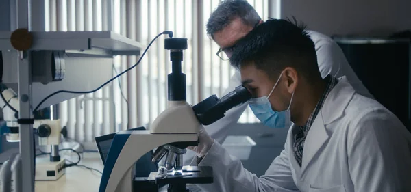Cientista que estuda a amostra em microscópio — Fotografia de Stock