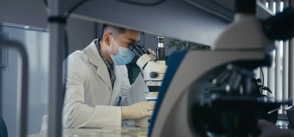 Forskare som studerar prover i mikroskop — Stockfoto