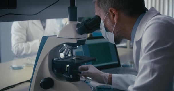 Científico estudiando muestras de plantas en microscopio — Vídeos de Stock