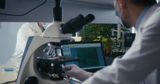 Scientifique étudiant un échantillon de plante au microscope 