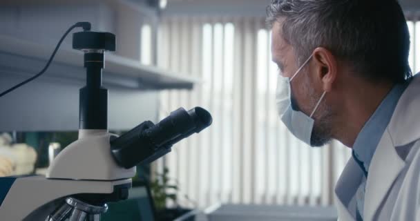 Scienziato che studia il campione vegetale al microscopio — Video Stock