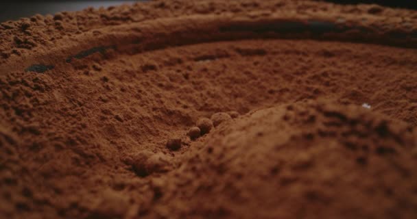 Cocoa powder vibrating on subwoofer — Stock Video