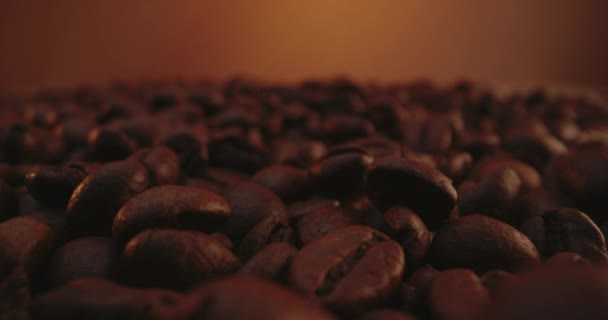 Koffiebonen liggend in een verpakking — Stockvideo