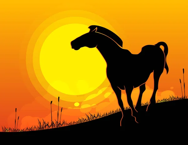 Sziluettjét naplemente ló — Stock Vector