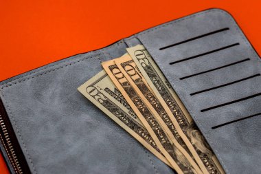 Deri çanta banknot dolar ile