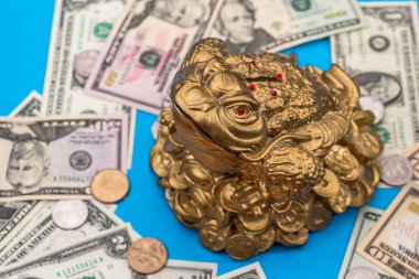 Kurbağa ve Doları madeni para ve banknot izole mavi sembol