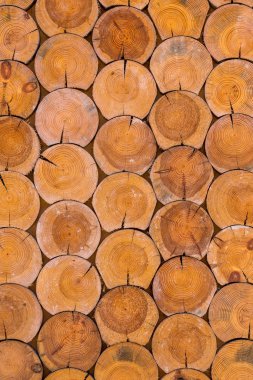 Ağaç kütükleri yığını
