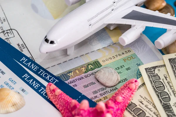 passport with viza, money, plane and ticket