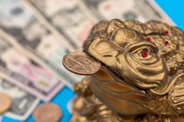 Kurbağa ve Doları madeni para ve banknot izole mavi sembol