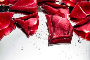 çiy damlaları ve gül yaprağı. Sevgililer günü kavramı