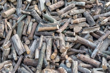 Mesquite ahşap Görünümü Kapat. yığılmış yakacak odun görüntüsünü.