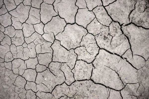 gri taş duvar dokusu