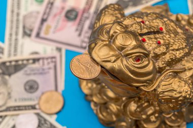 Kurbağa ve Doları madeni para ve banknot izole mavi sembol