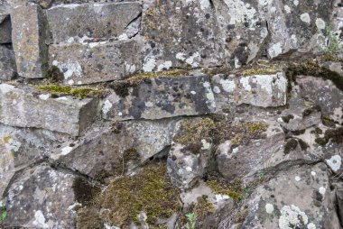 Arka plan olarak eski moss taş